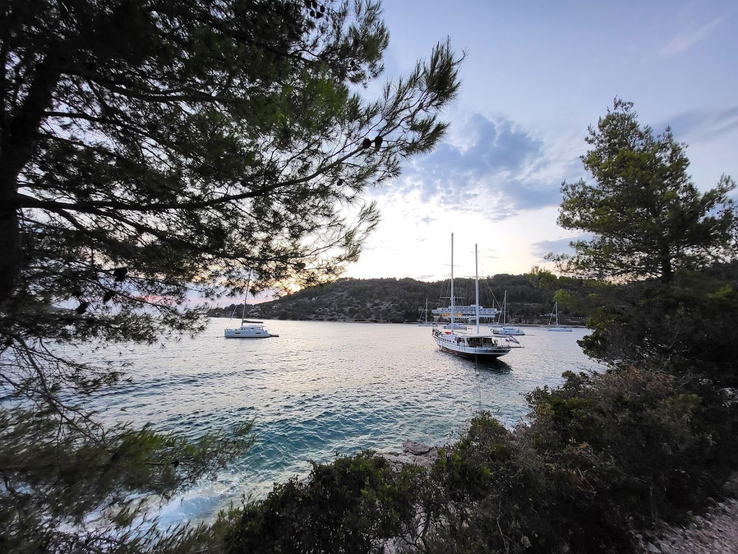 Vela luka, Beach for dogs