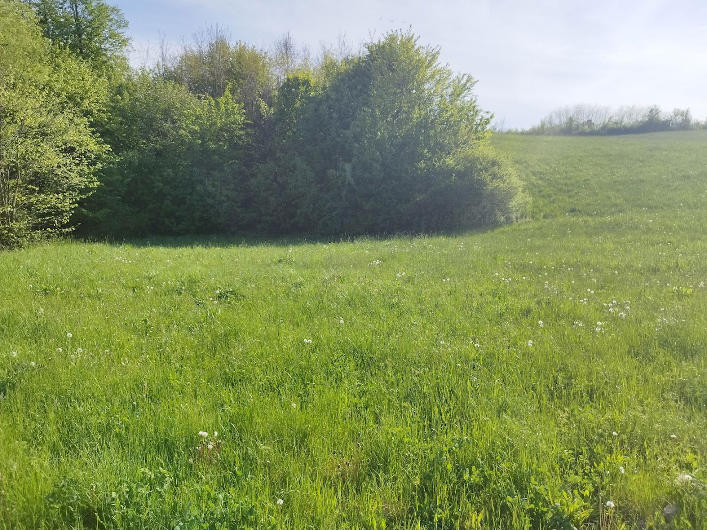 Health Way, Intact Nature