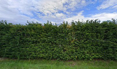 S.A.L.P. Societa' Appalto Lavori Pubblici S.P.A.