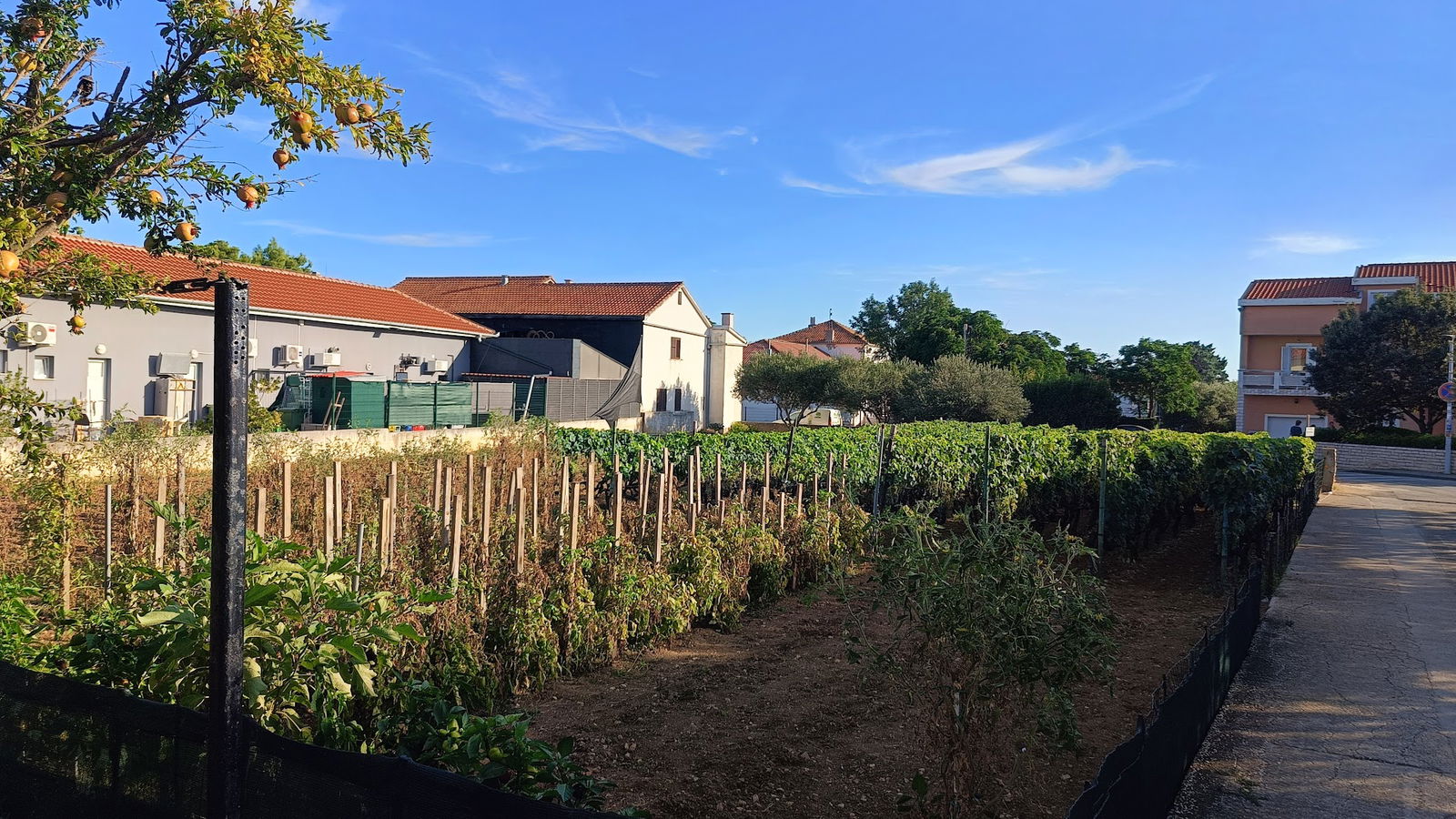 Barbara Apartmaji Vir