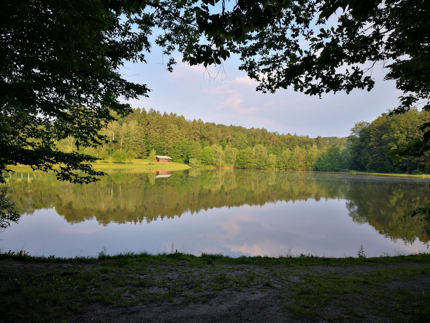 Ribnik Videž