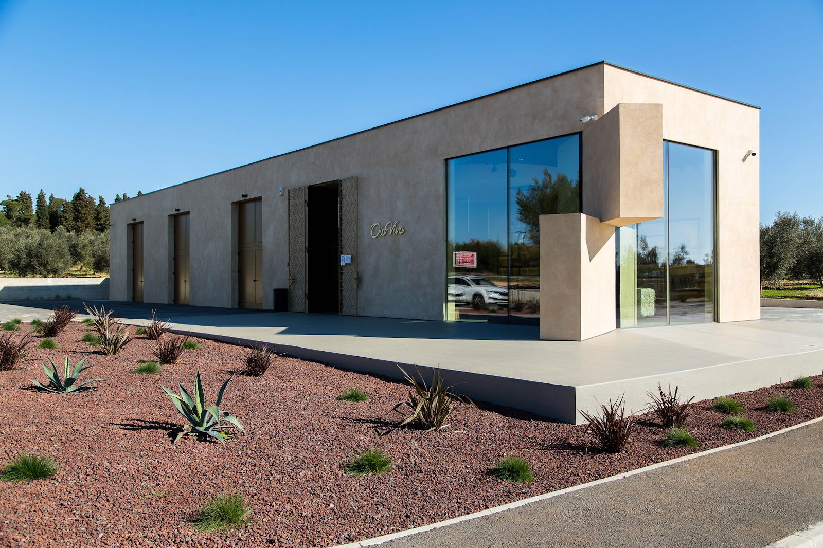 Oleum Maris - Olive Oil