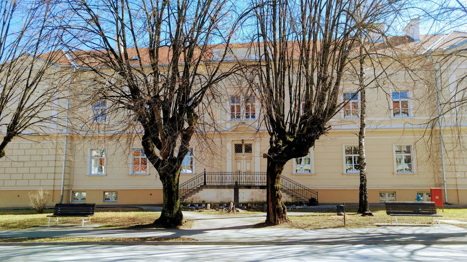 Elementary School July Kempf