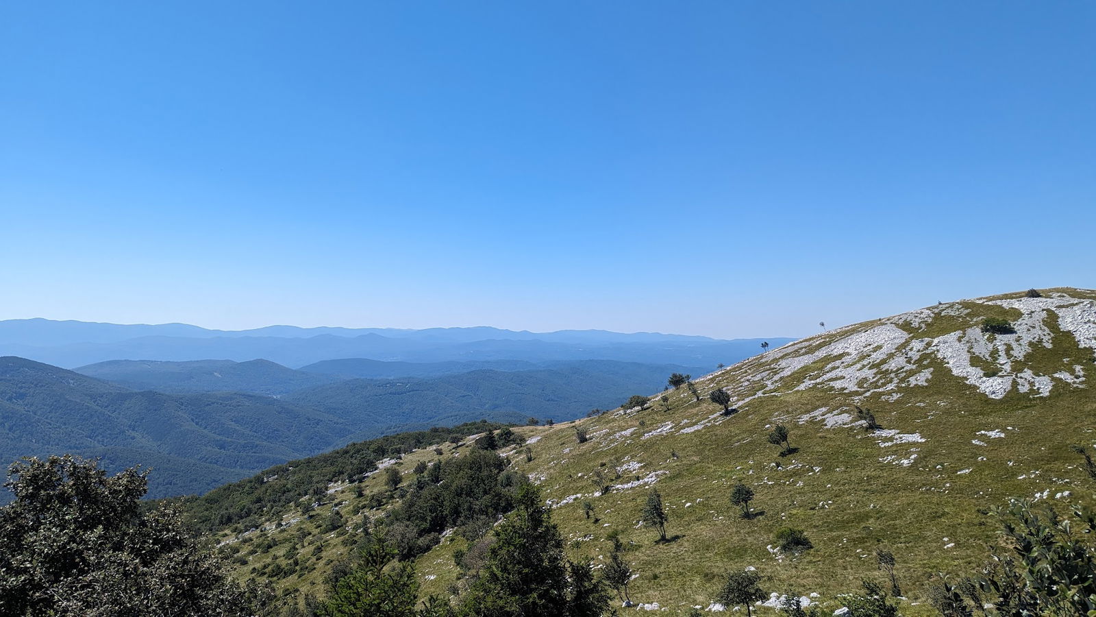 Katalin (Gumanačka)