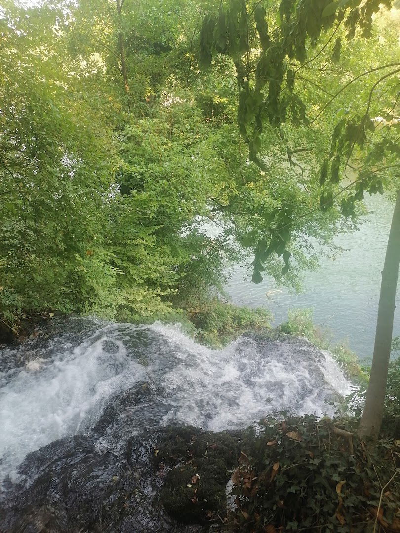 Plantaža malina Lela