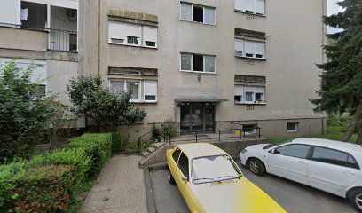 AUTOTAKSI PRIJEVOZ TAKSI BR. 3268, VL. EMIL KOLARIĆ