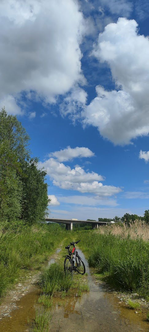 Drava river side