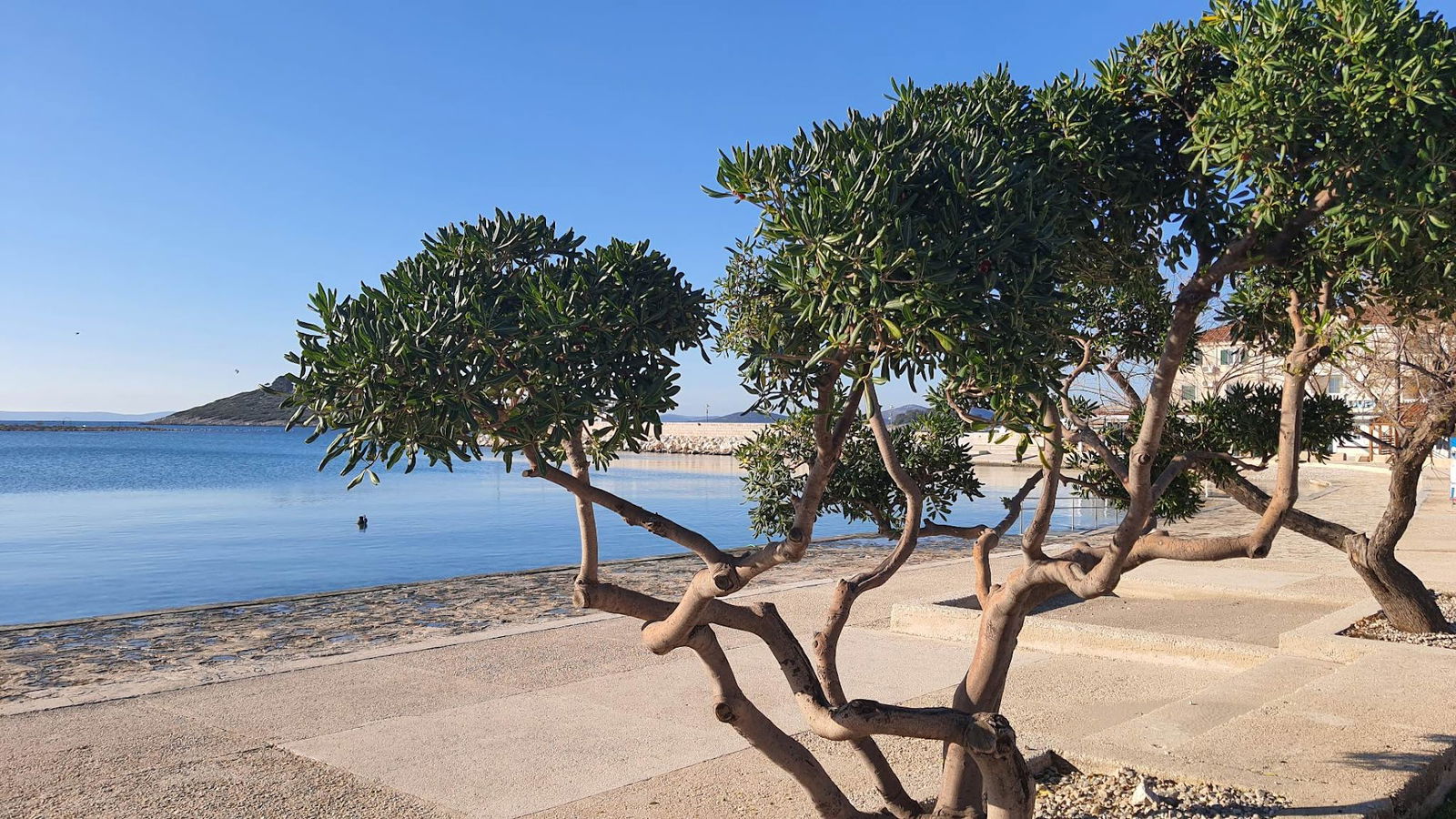 Mobile homes Tina - Camp Tatiana