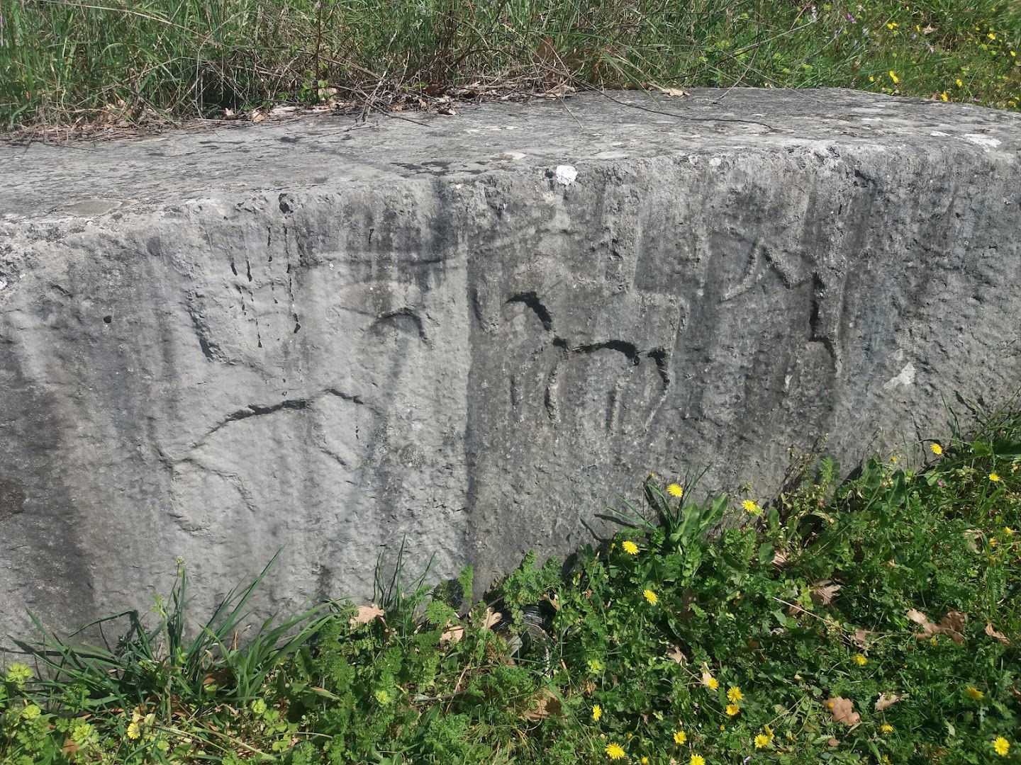 Nekropola stećaka Gorica