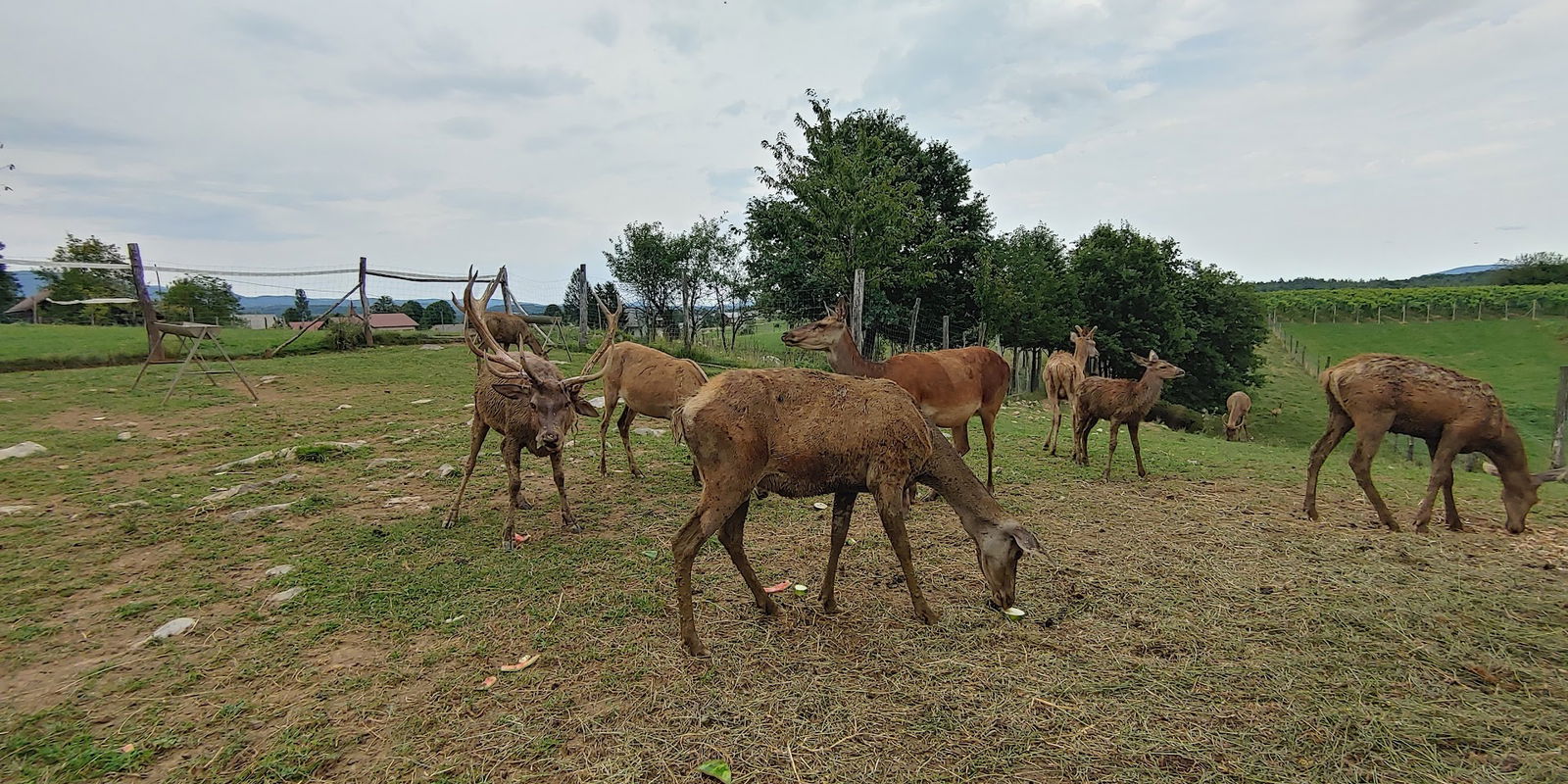 Agri proizvodnja in trgovina, d.o.o.