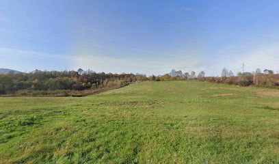 Old cemetery Crevarska Strana