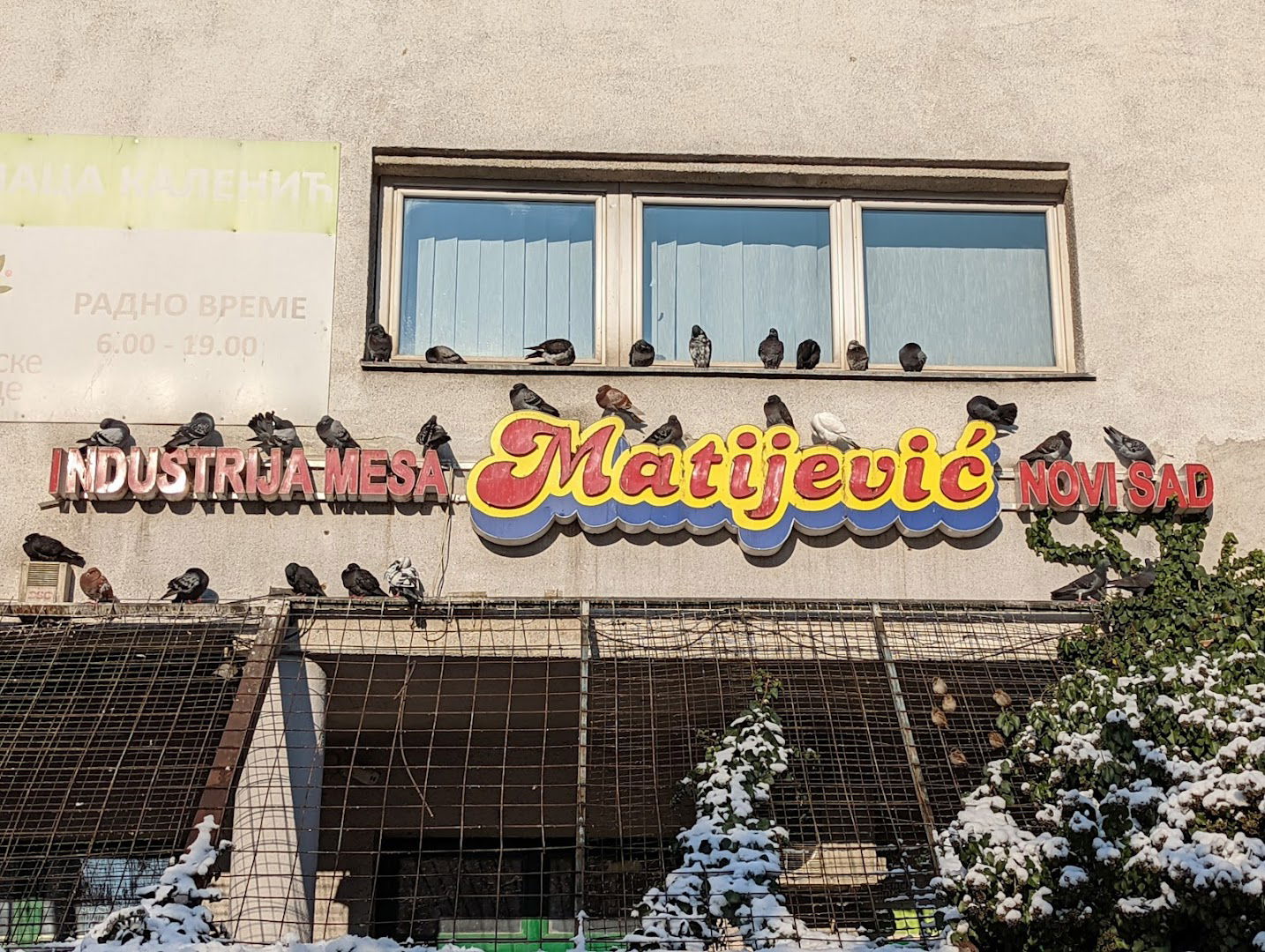 IM "Matijević" Novi Sad, Kalenić pijaca. Beograd