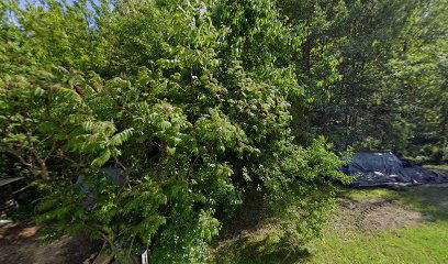 Mortuary Jagnjedovec