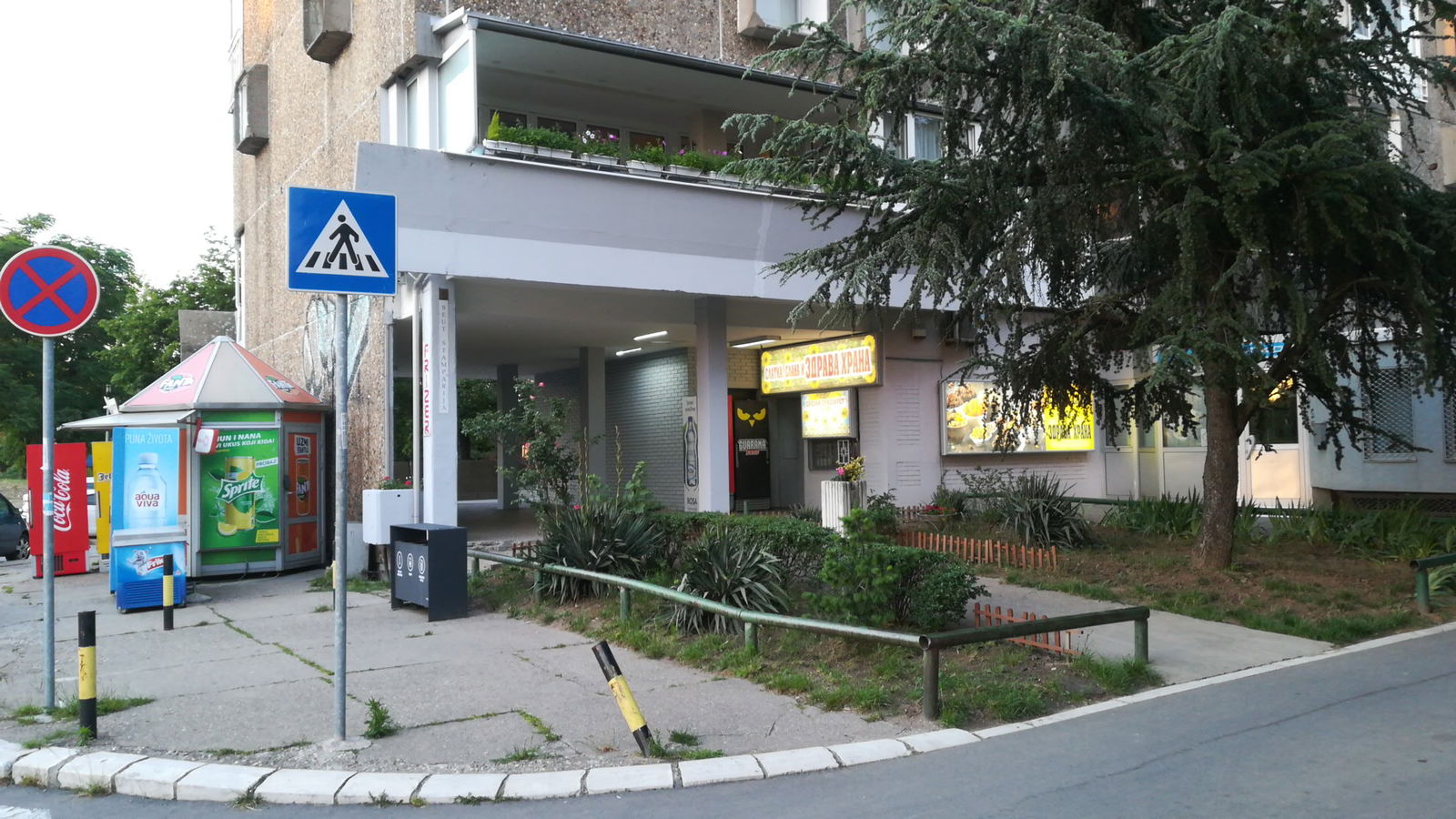 Zdrava hrana Srecni suncokret