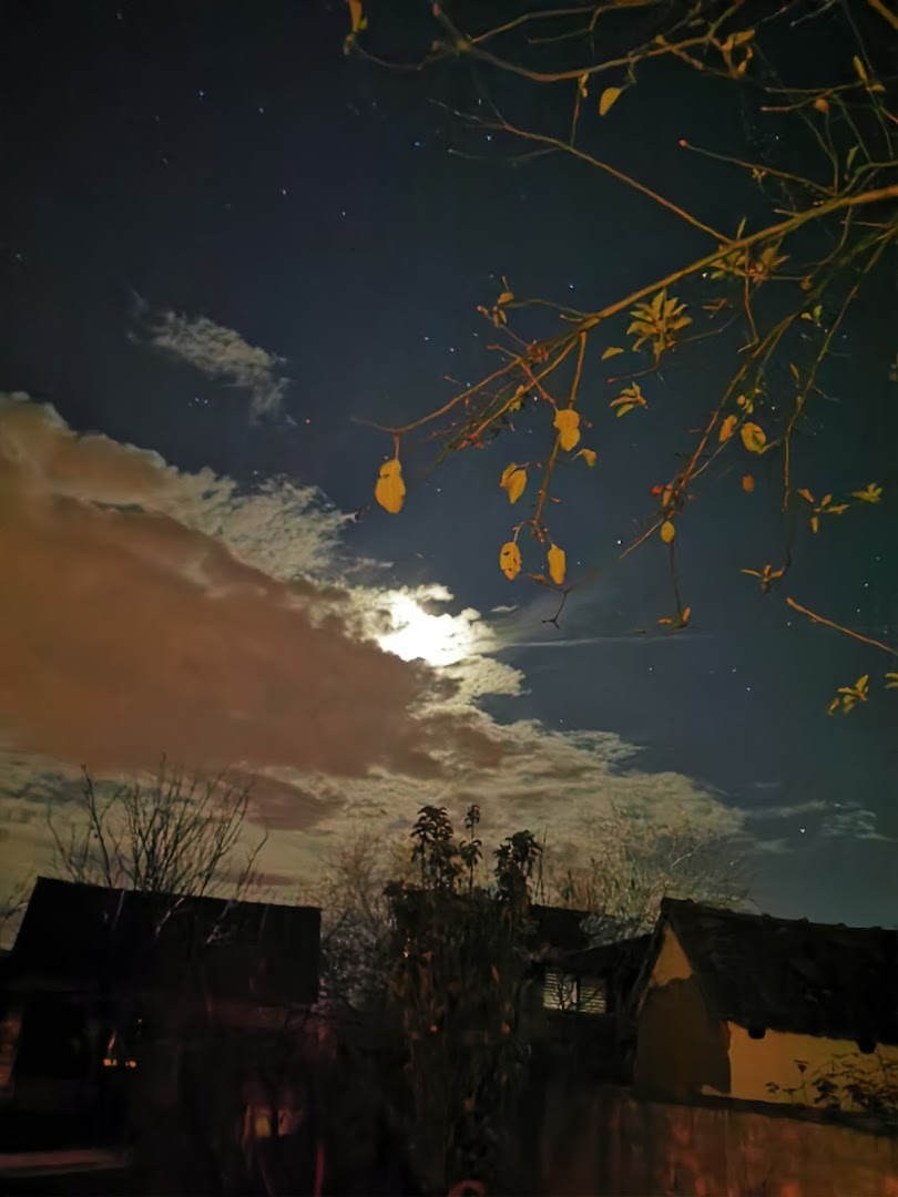 Zoran Popović - Struja