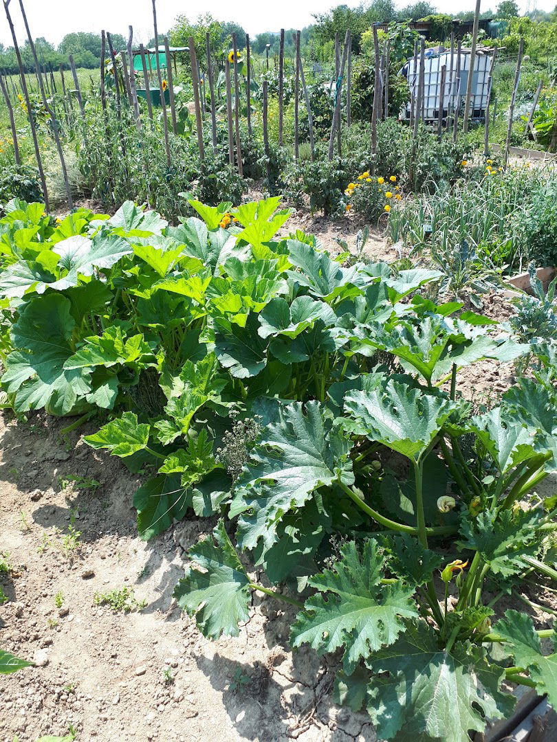 Urban Gardens Sloboština