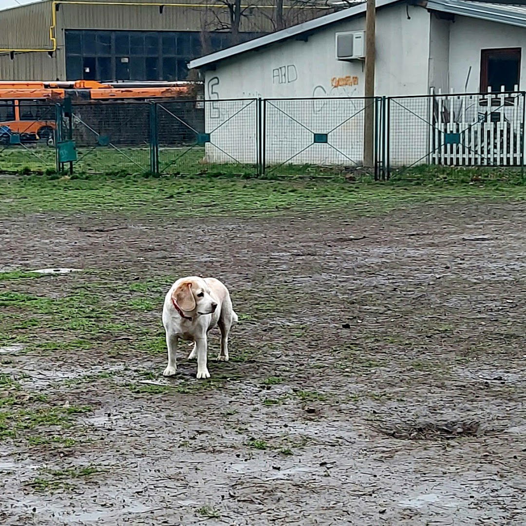 Park za pse - Pančićev Park