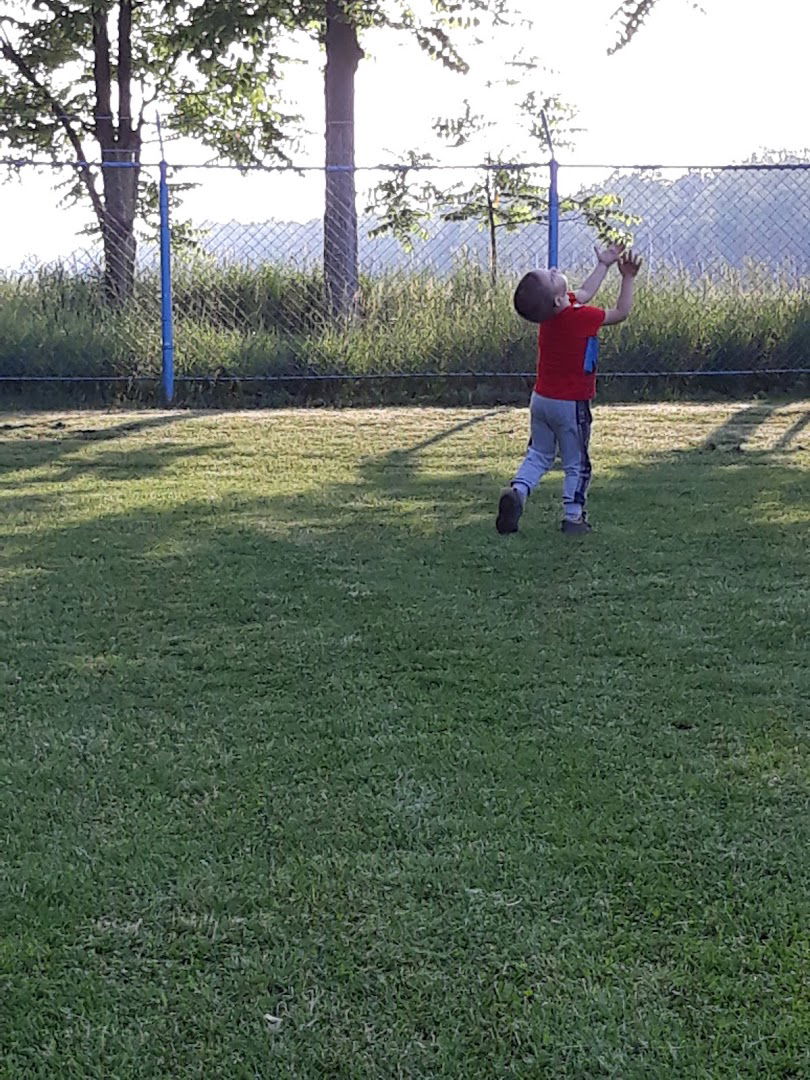 ФК „Стари Тамиш”