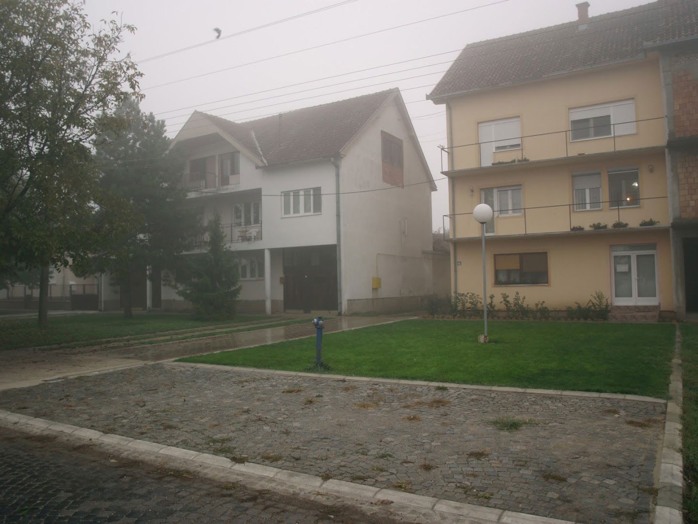 Kocić - Web usluge I Graviranje I Programiranje