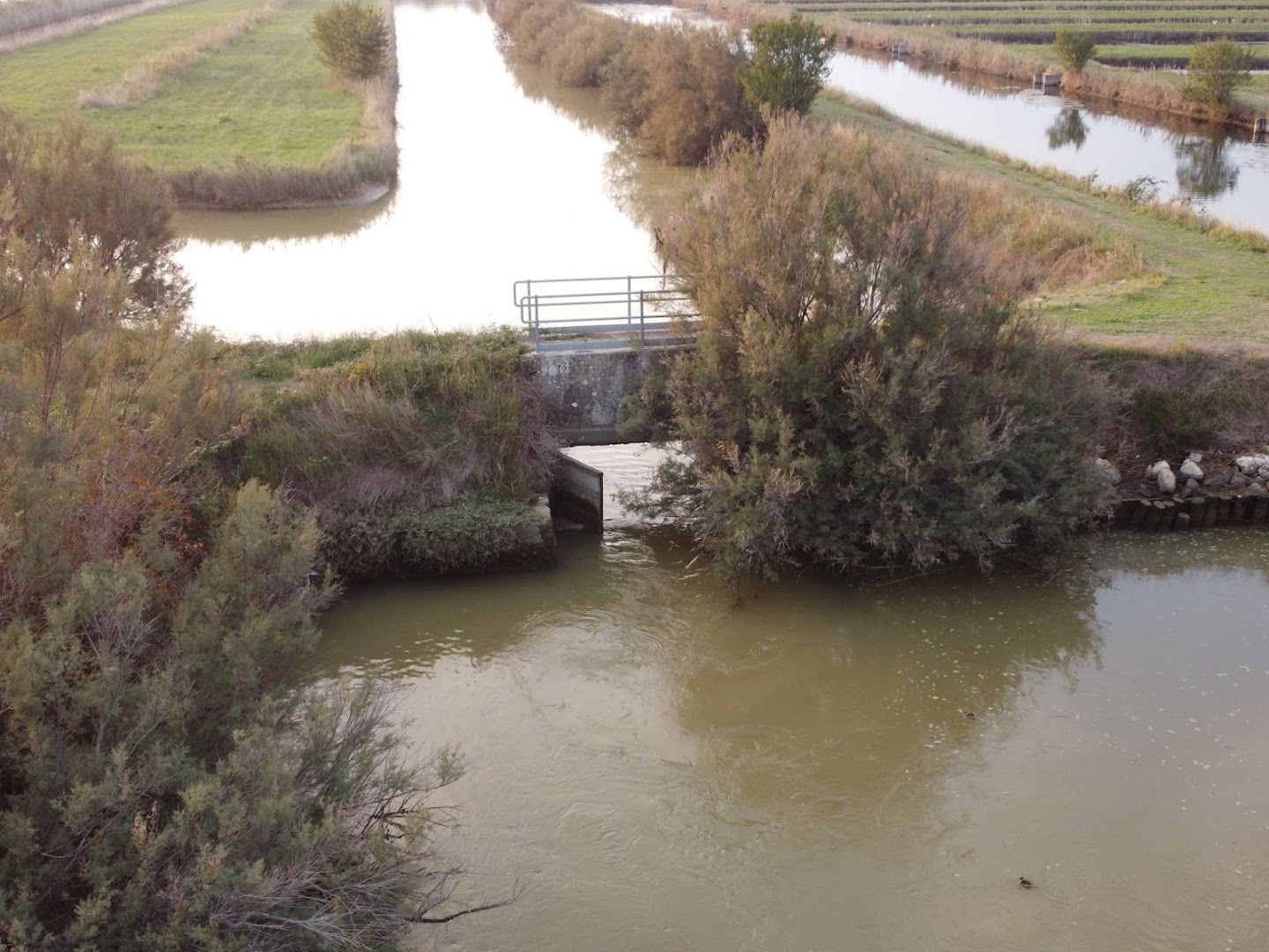 Porte vinciane - Consorzio di Bonifica