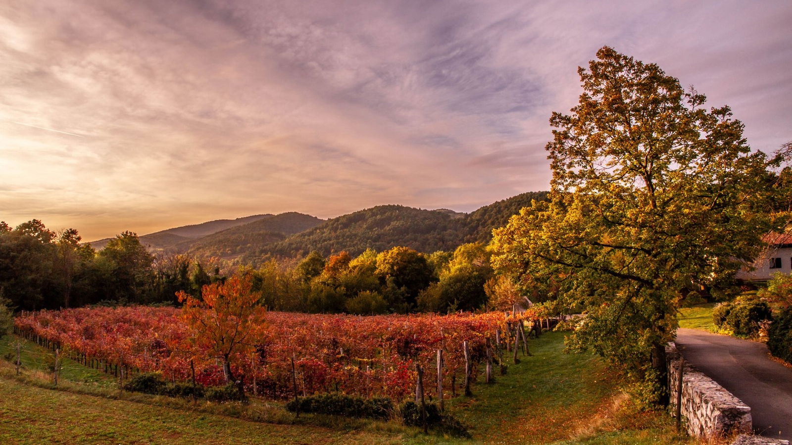 MAROWAYS - Experiences and tours between the Adriatic and the Alps