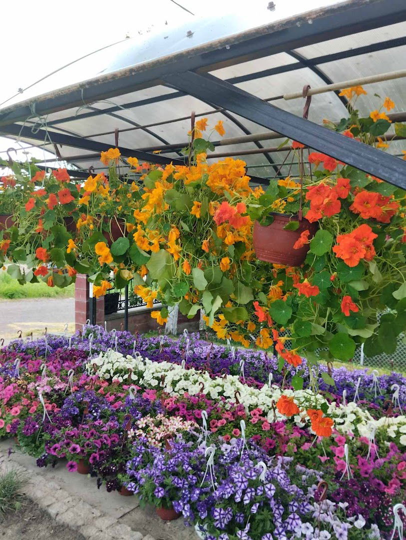 Rasadnik Cveća Pavlović