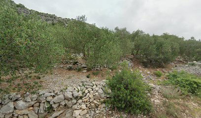 Cesta Adriana Škraba