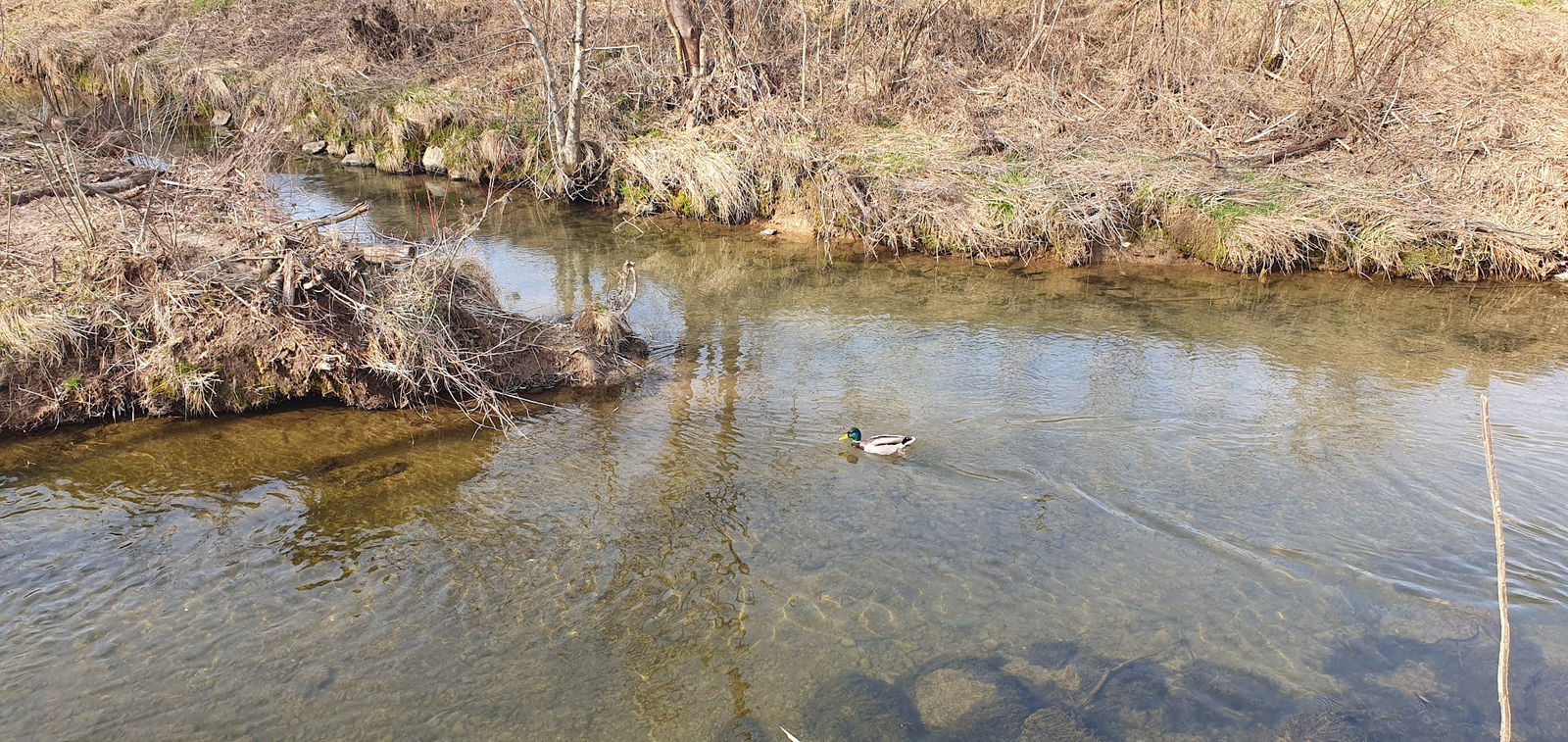 Most na Podlipščici