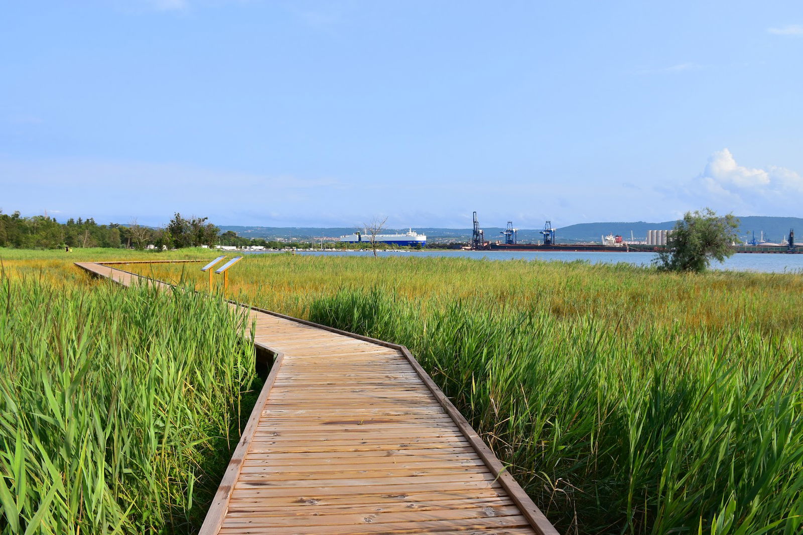 Plaža Sv. Katarina Ankaran