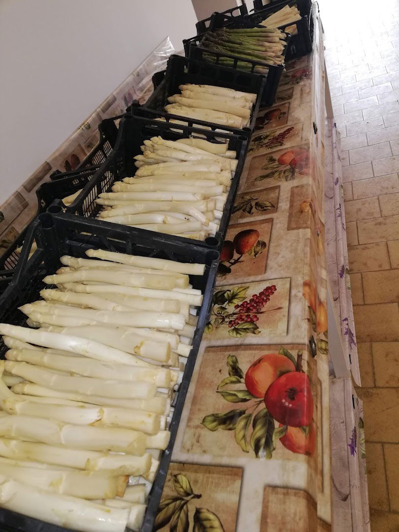 Azienda agricola Taddei Luca