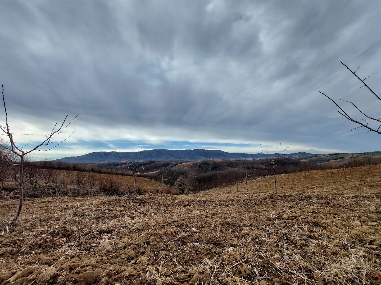 Poljoprivredno gazdinstvo JEVTIC