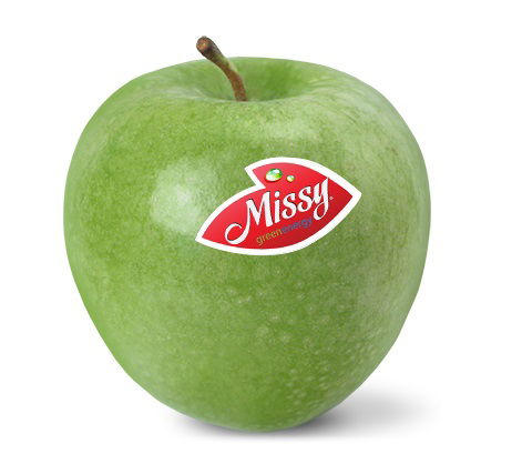 Green Energy Group Int Doo