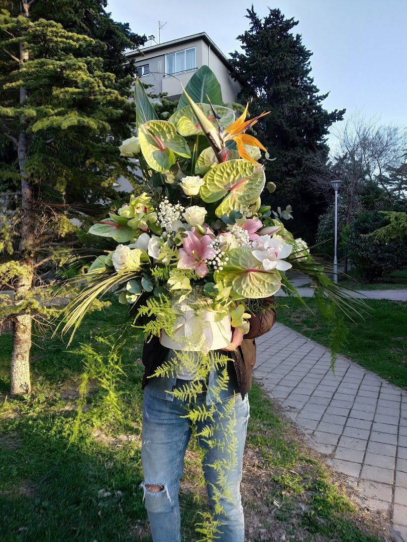 Cvjećarnica Ilaria | Besplatna dostava cvijeća Split