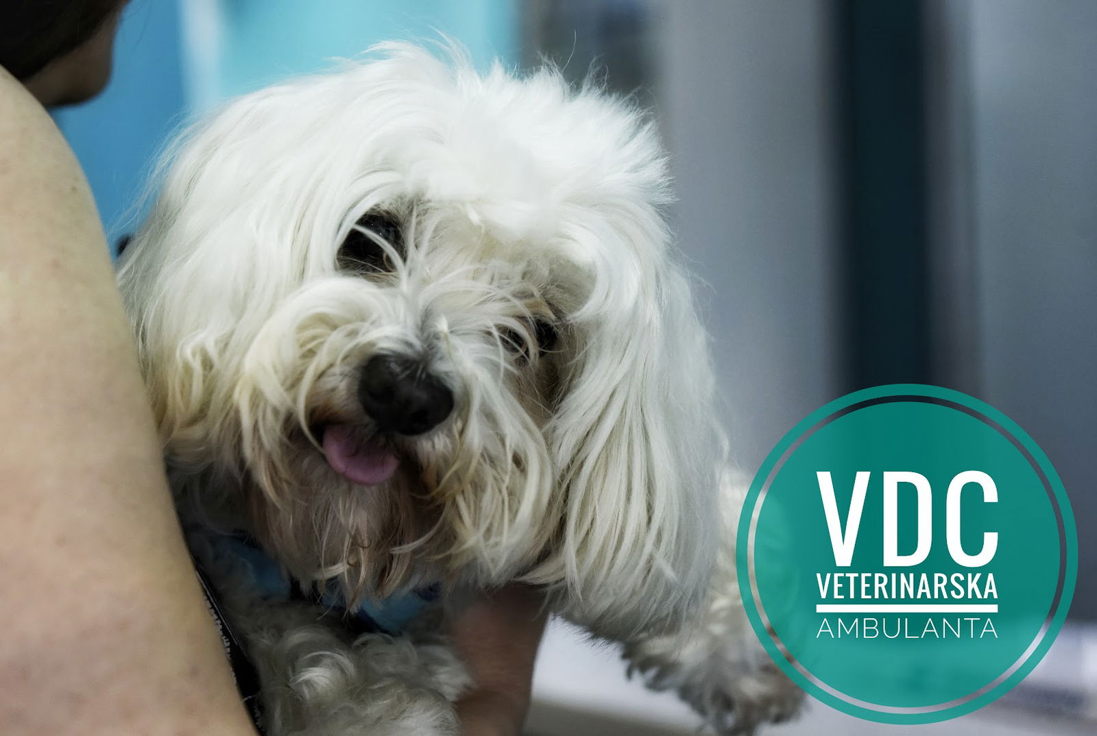 VDC veterinarska ambulanta