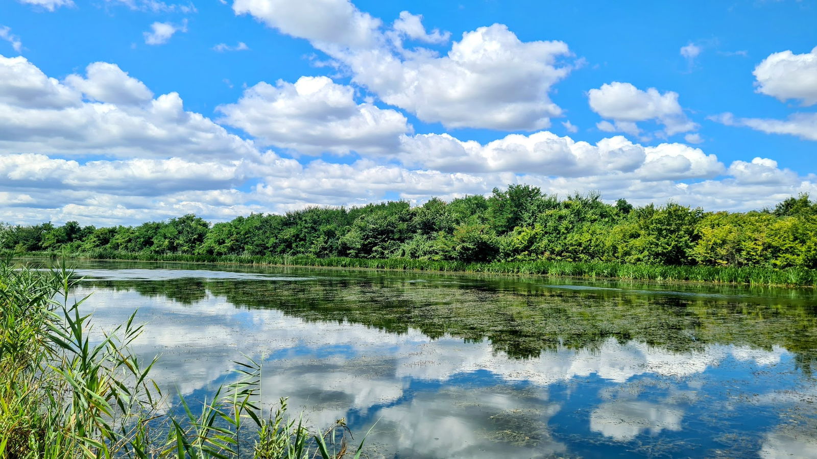 Окретница аутобуса "СРЦ Сурчин"