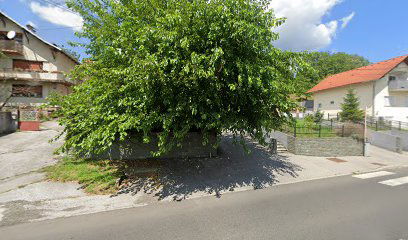 Salon za šišanje pasa Vau Vau