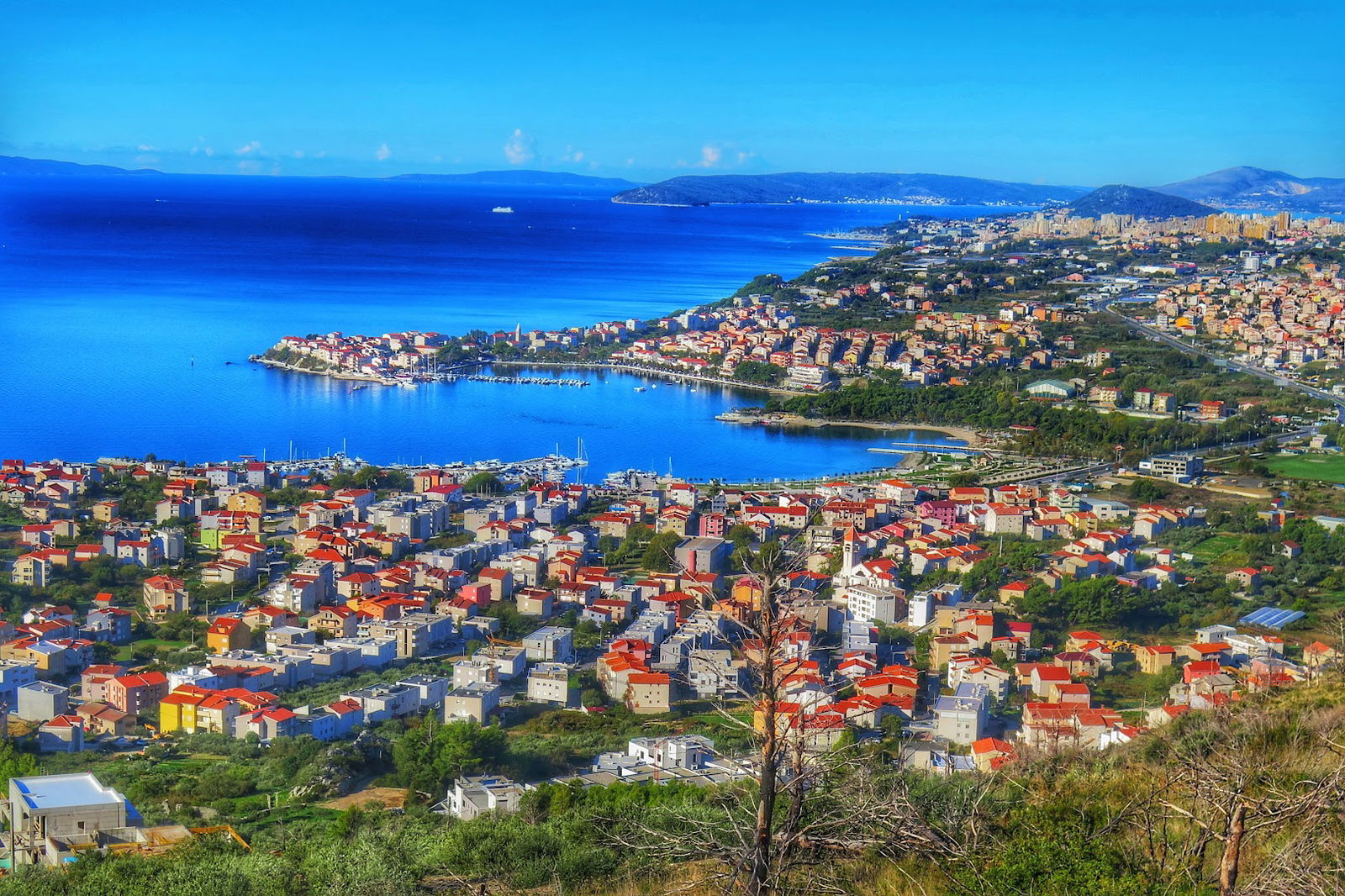 Perun hrastova šuma