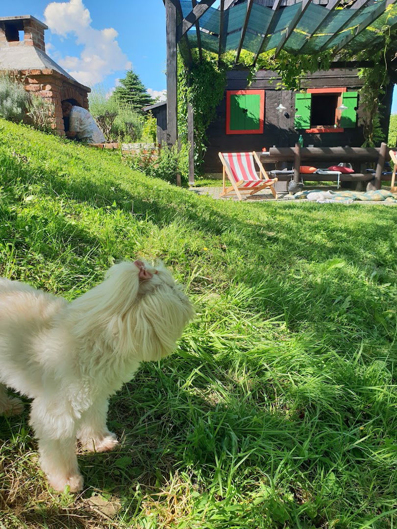 Kućica/ Cottage