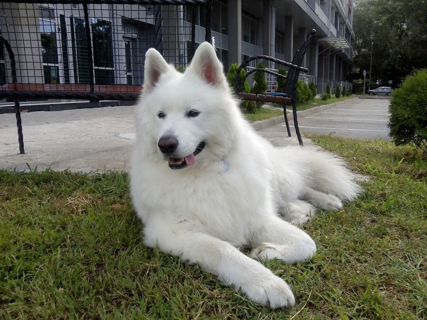 Specijalistička ordinacija za fizikalnu medicinu i rehabilitaciju "dr Bartolović"