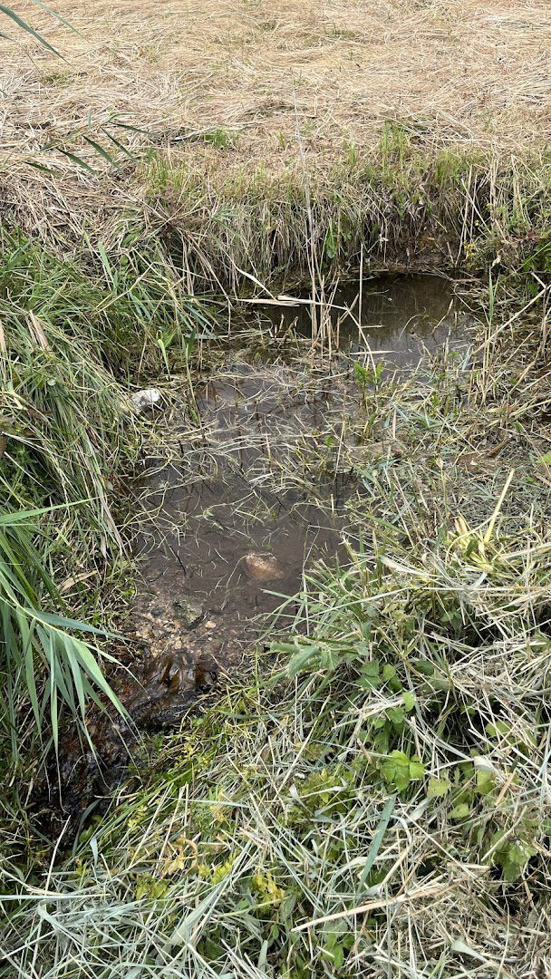 Izvor Radljevca-Glib