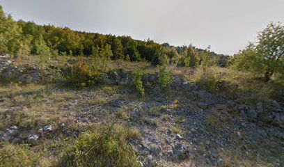 BRŠTANOVO STRIČEVIĆI 2