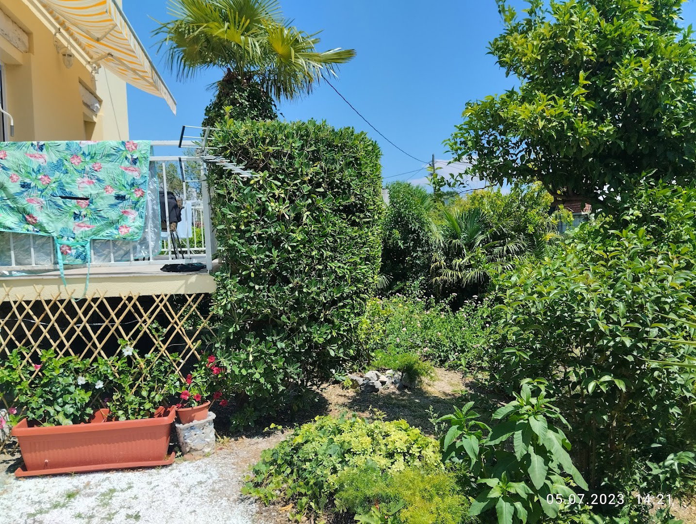 Apartment Dragana Kaštel Stari