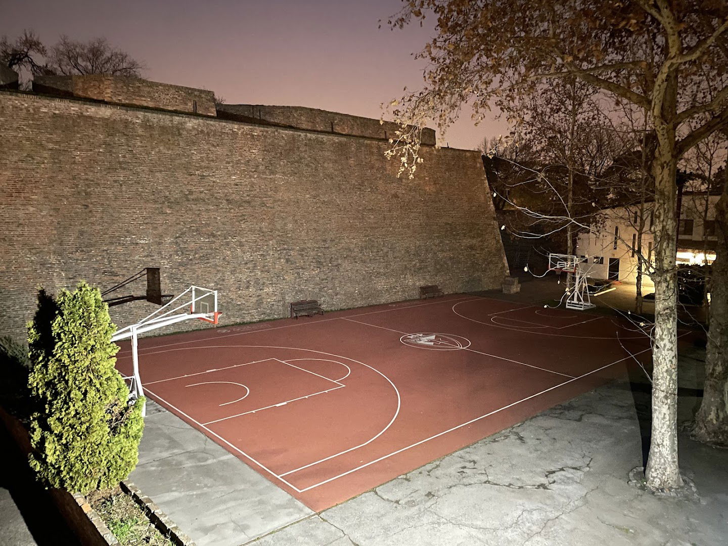 Кошаркашки клуб „Црвена звезда”