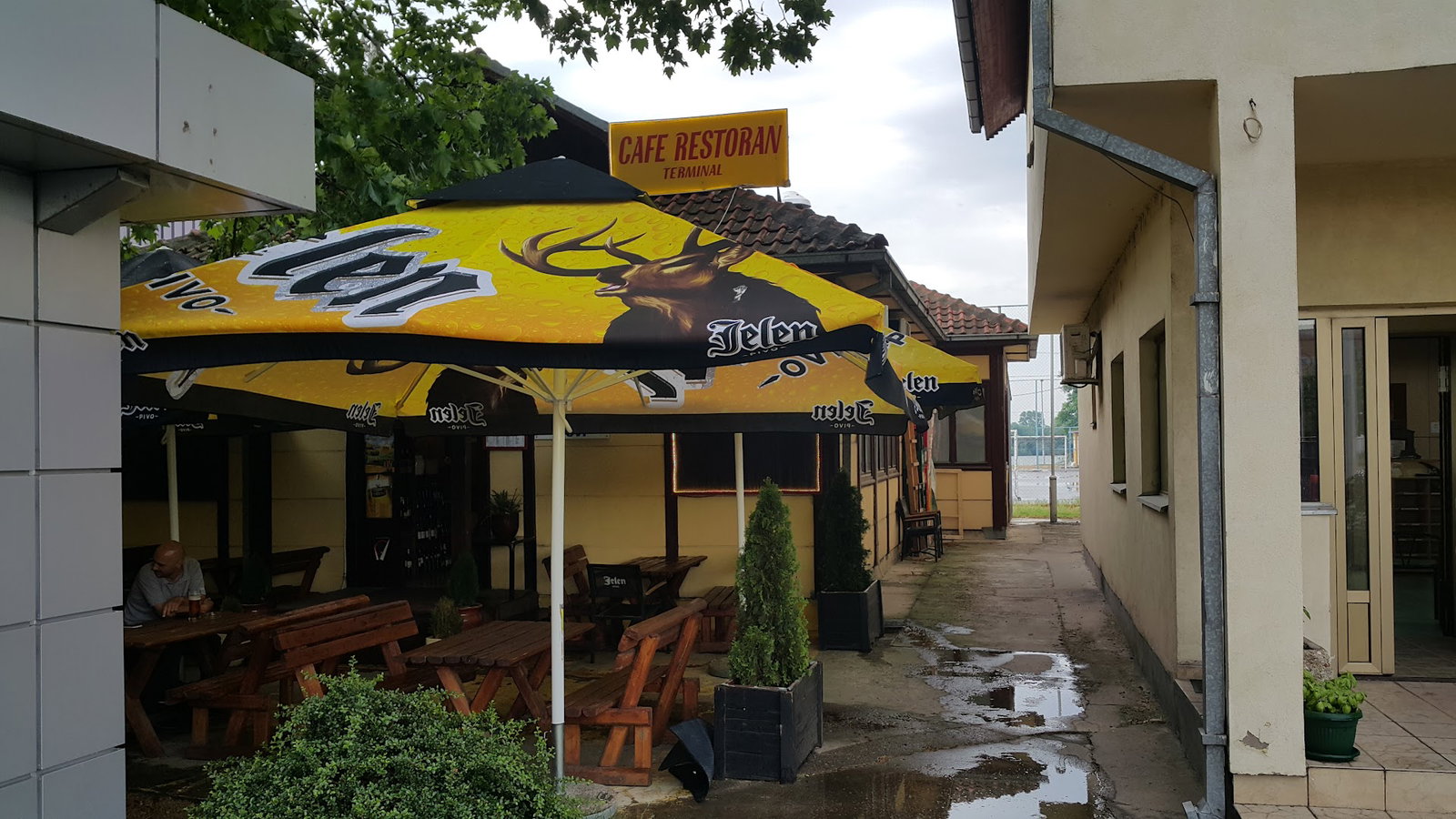 Терминал Нови