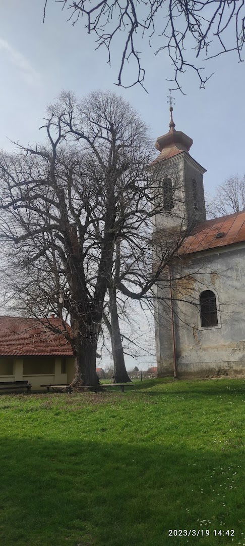 Novoseljani cemetery