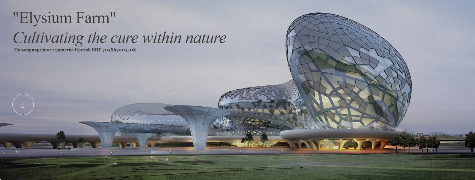 Elysium Farm PG Krstic