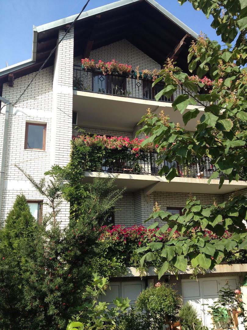 Dom Paulovnia Zvezdara