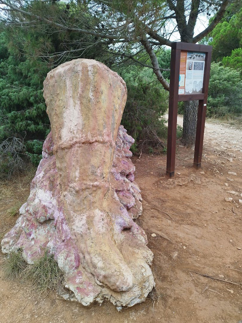 Rudist Bivalve Sculpture