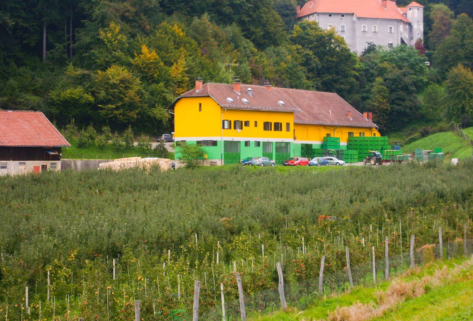 Sadjarski center Turn PRODAJA JABOLK Kmetijska zadruga Šaleška dolina z.o.o.