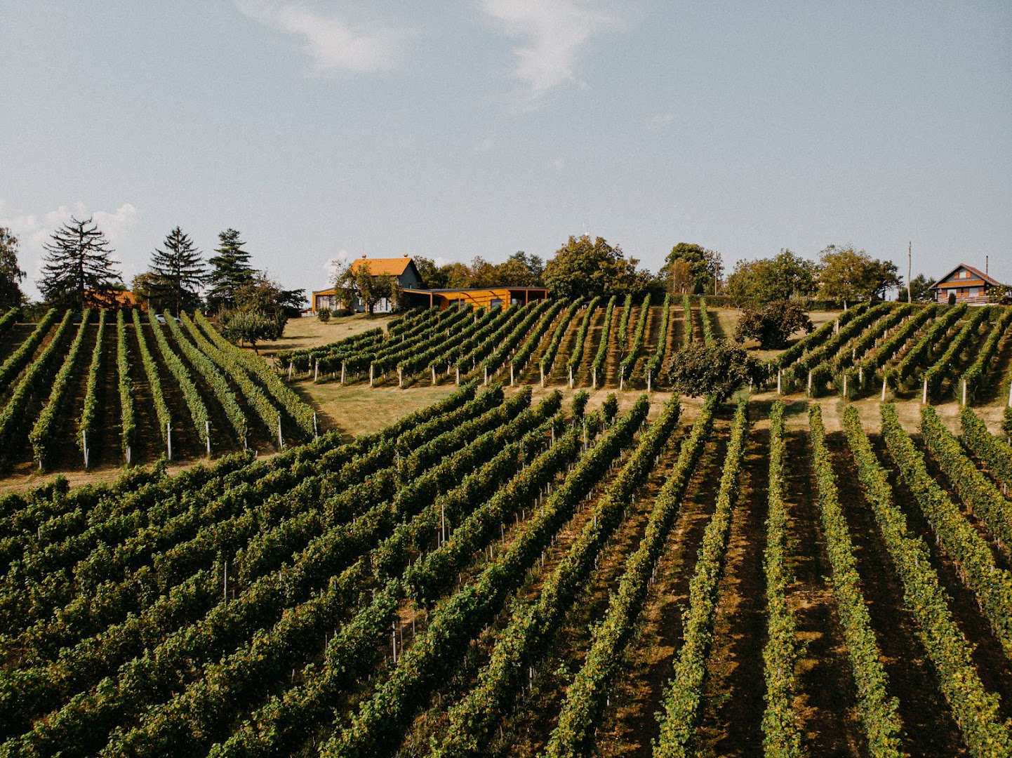 Vinarija Voštinić Klasnić